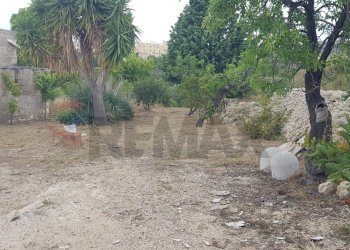 Giardino - Terreno agricolo Contrada San Giovanni Meti, Noto - foto 14