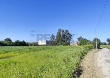 Giardino - Terreno edificabile viale pantanelli, Siracusa - foto 1