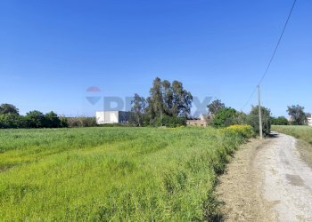 Giardino - Terreno edificabile viale pantanelli, Siracusa - foto 2