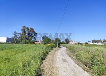 Giardino - Terreno edificabile viale pantanelli, Siracusa - foto 5