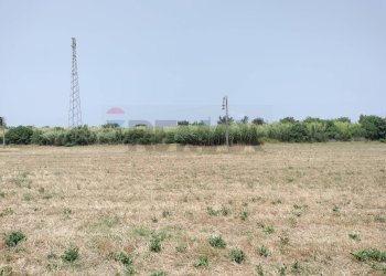 Giardino - Terreno edificabile viale pantanelli, Siracusa - foto 8