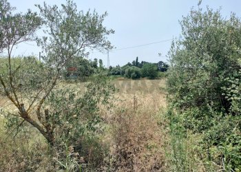 Non correlato - Terreno edificabile viale pantanelli, Siracusa - foto 17