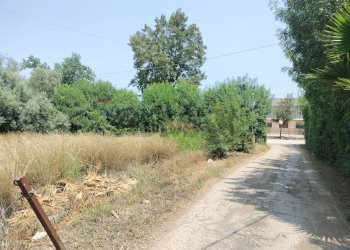 Giardino - Terreno edificabile viale pantanelli, Siracusa - foto 22