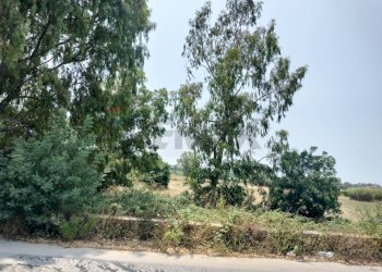 Giardino - Terreno edificabile viale pantanelli, Siracusa - foto 24