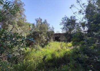 Giardino - Terreno edificabile viale pantanelli, Siracusa - foto 25