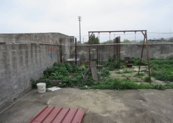 Giardino - Appartamento Via Savonarola
 
122, Melilli - foto 30