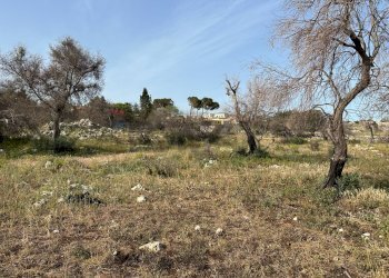 Giardino - Terreno edificabile via san cataldo
 
21, Siracusa - foto 10