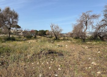 Giardino - Terreno edificabile via san cataldo
 
21, Siracusa - foto 11