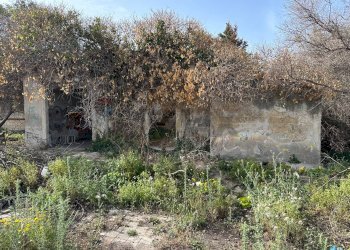 Giardino - Terreno edificabile via san cataldo
 
21, Siracusa - foto 17