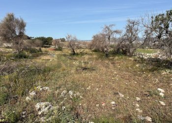 Non correlato - Terreno edificabile via san cataldo
 
21, Siracusa - foto 21