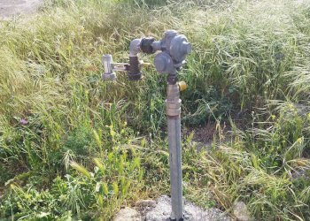 Giardino - Casa indipendente CONTRADA PERCIATA
 
SNC, Nissoria - foto 38