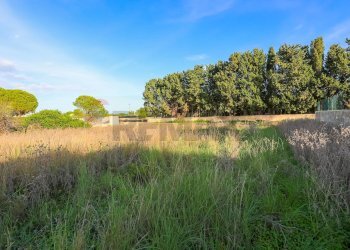 Giardino - Terreno edificabile Siracusa - foto 8
