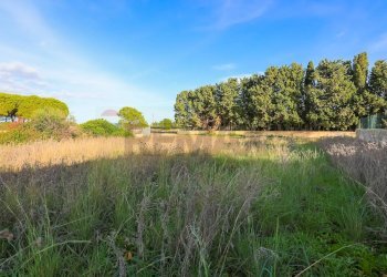 Giardino - Terreno edificabile Siracusa - foto 10