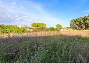 Giardino - Terreno edificabile Siracusa - foto 11