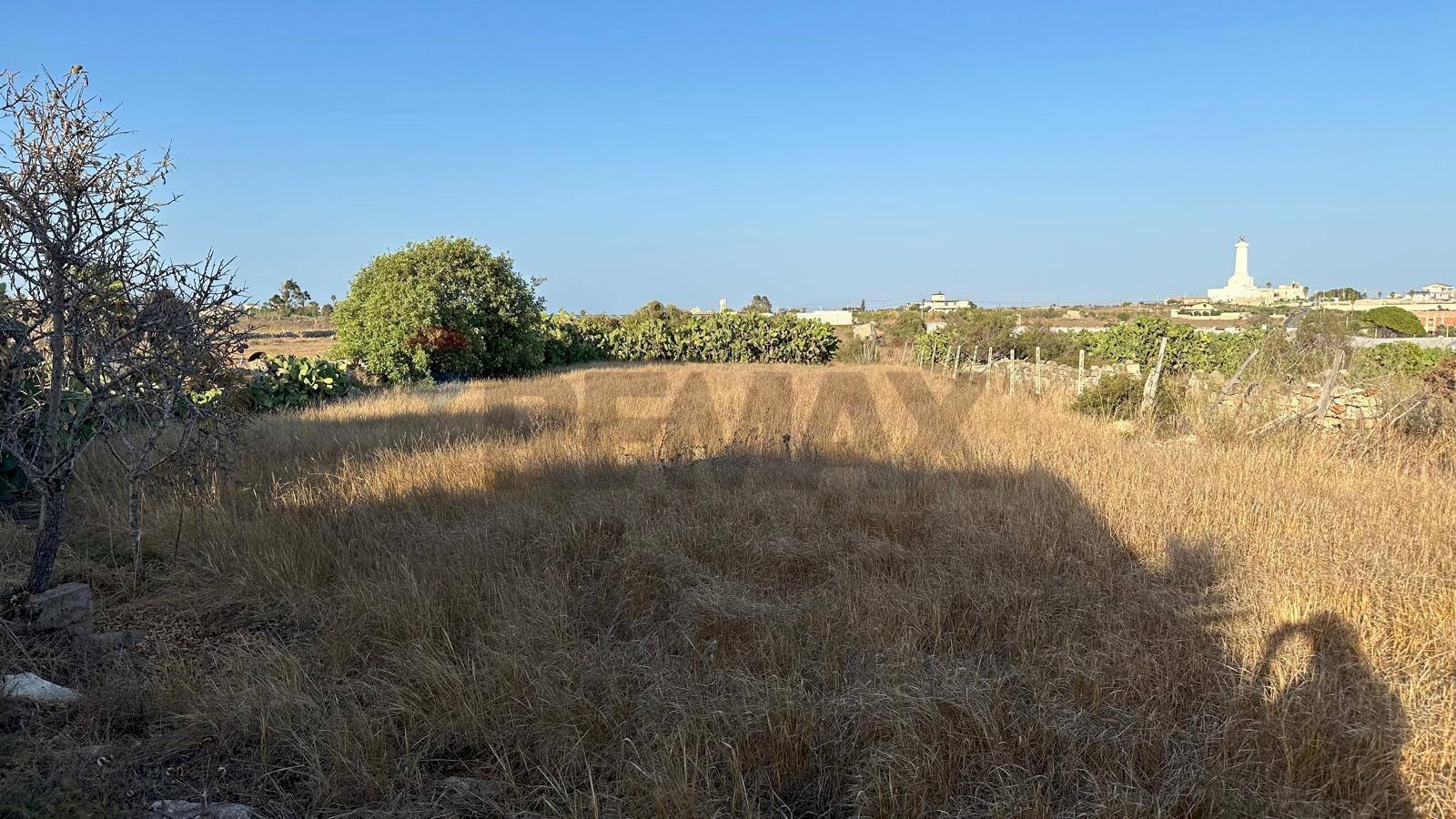 Giardino - Agricultural land Contrada Torrefano, Pachino - photo 2