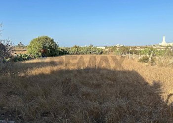 Giardino - Agricultural land Contrada Torrefano, Pachino - photo 2