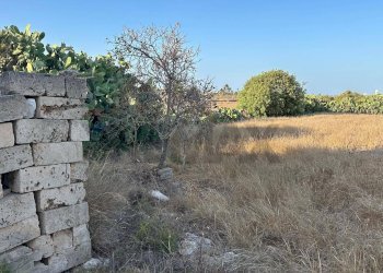 Giardino - Agricultural land Contrada Torrefano, Pachino - photo 4