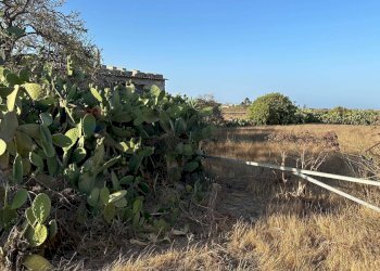Edificio all\'aperto - Agricultural land Contrada Torrefano, Pachino - photo 5