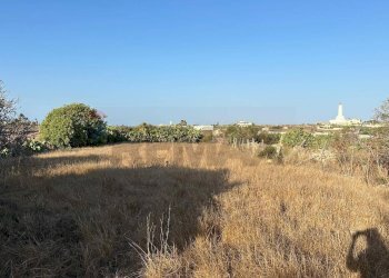 Giardino - Agricultural land Contrada Torrefano, Pachino - photo 7