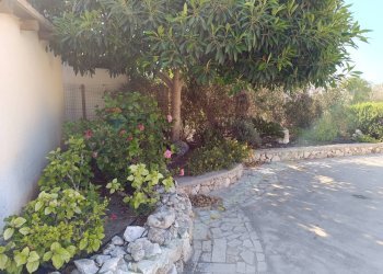 Giardino - Villa Contrada Chiappa Granelli, Pachino - foto 21