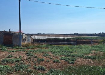 Giardino - Casa indipendente Contrada Carrubba, Ispica - foto 3