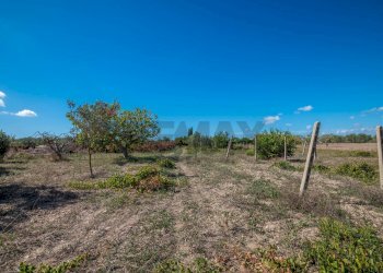 Giardino - Villa Contrada Scirbia
 
Snc, Noto - foto 24