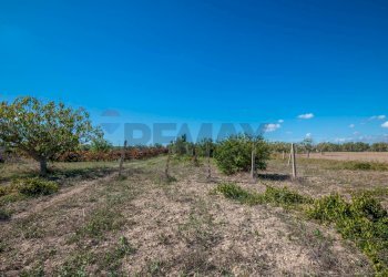 Vista delle montagne - Villa Contrada Scirbia
 
Snc, Noto - foto 25
