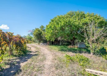 Giardino - Villa Contrada Scirbia
 
Snc, Noto - foto 27