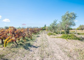 Giardino - Villa Contrada Scirbia
 
Snc, Noto - foto 29