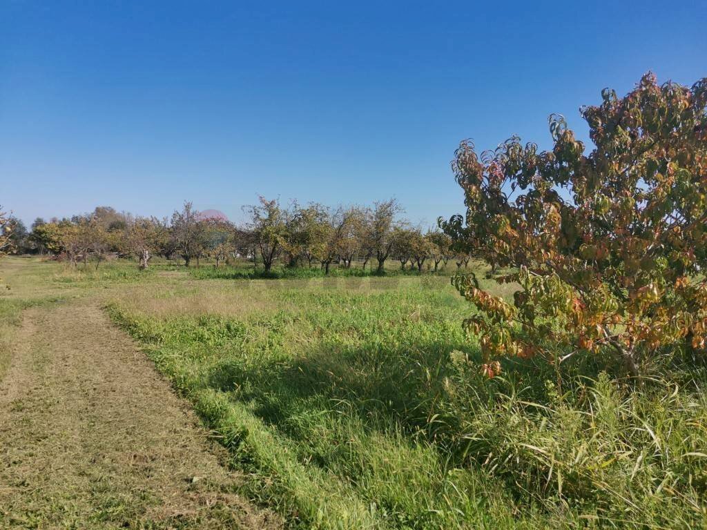 Giardino - Terreno agricolo via ferla, Melilli - foto 3