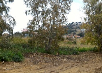 Giardino - Terreno agricolo via ferla, Melilli - foto 2