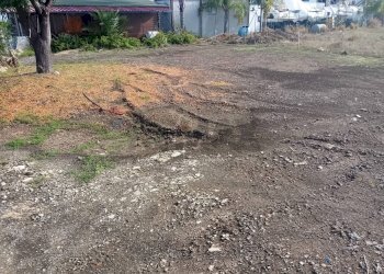 Giardino - Terreno edificabile contrada targia, Siracusa - foto 6