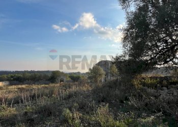 Non correlato - Rustic SP 29, Sortino - photo 40