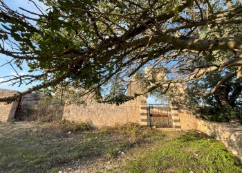 Giardino - Rustic SP 29, Sortino - photo 73