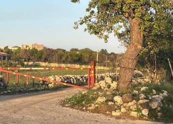 Giardino - Rustic SP 29, Sortino - photo 82