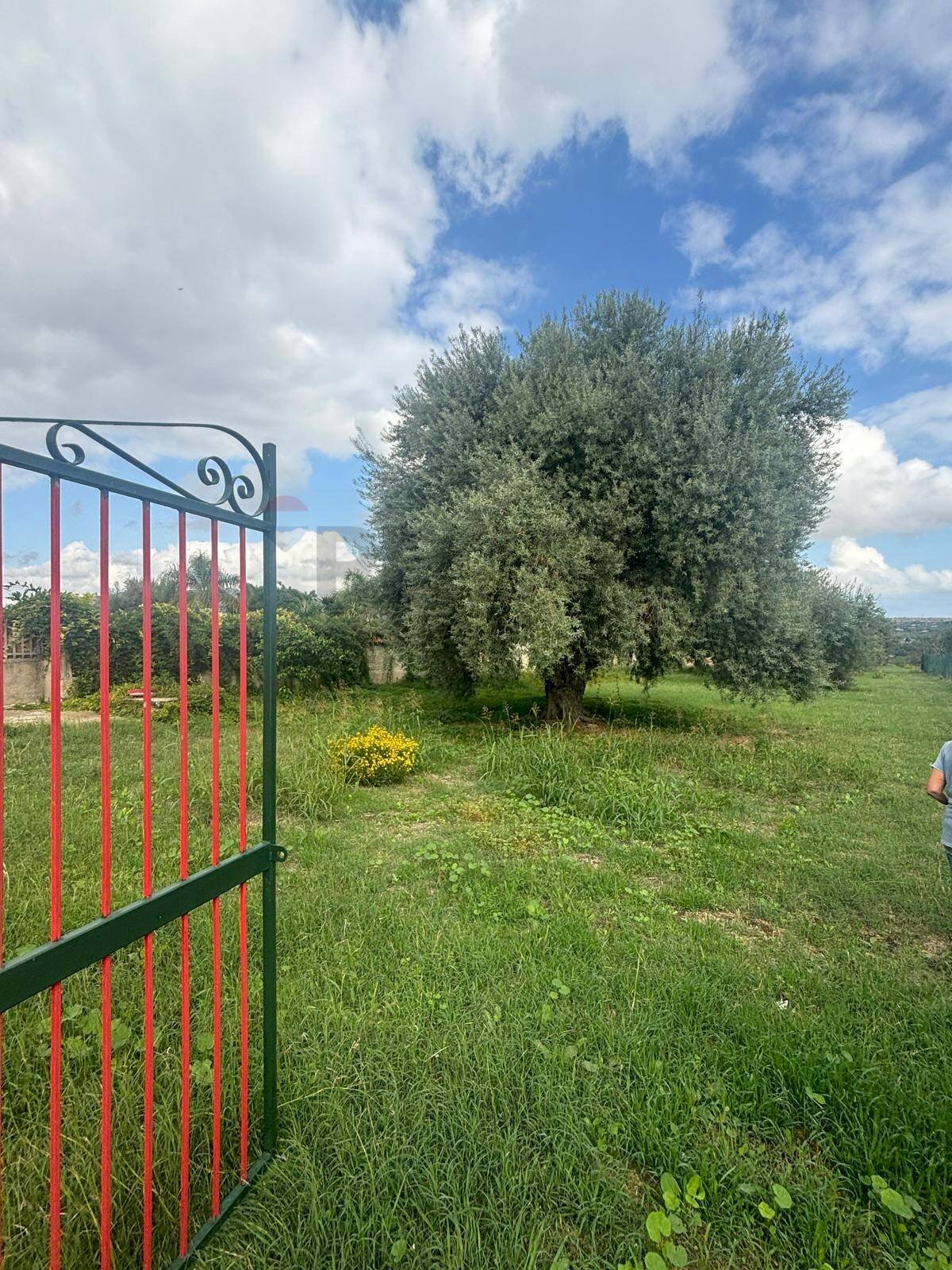 Giardino - Agricultural land VIA BELFRONTE, Floridia - photo 1