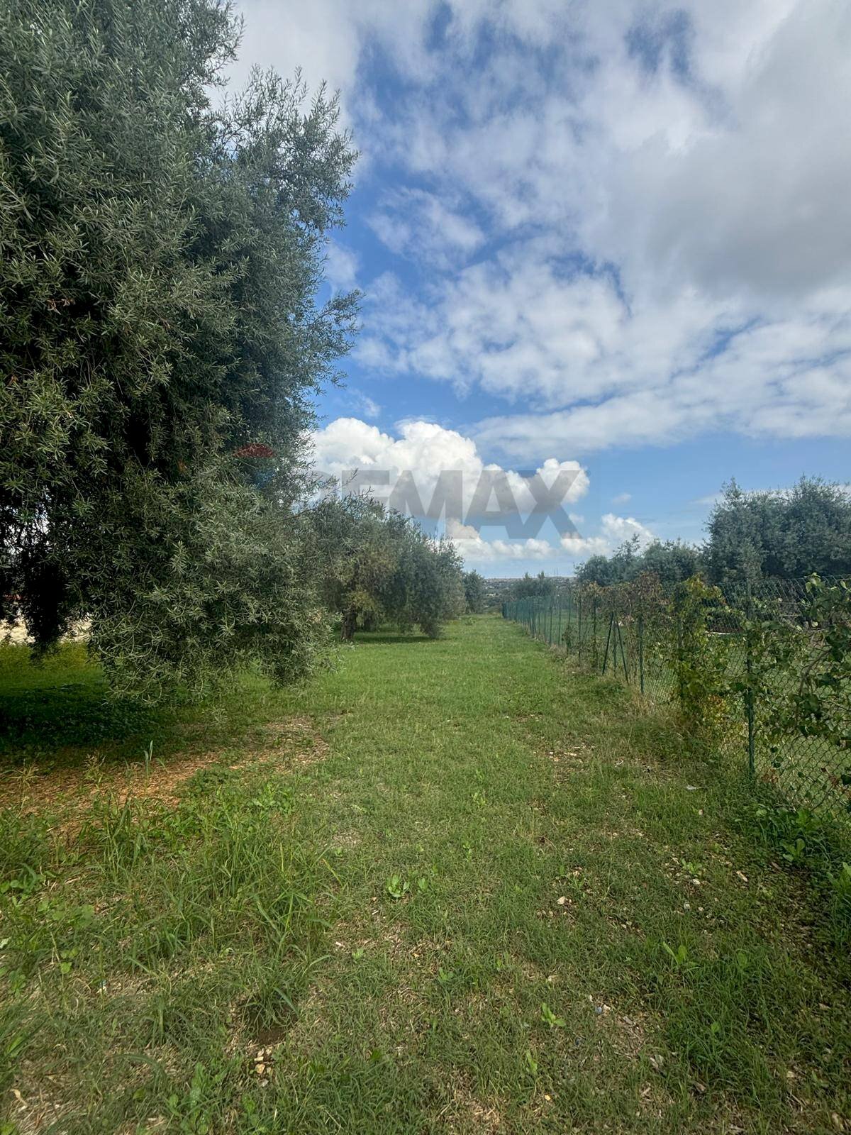 Giardino - Agricultural land VIA BELFRONTE, Floridia - photo 3