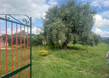 Giardino - Agricultural land VIA BELFRONTE, Floridia - photo 1