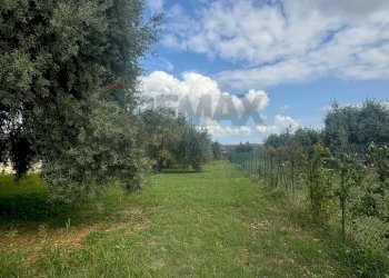 Giardino - Agricultural land VIA BELFRONTE, Floridia - photo 2