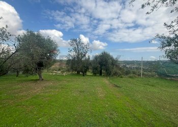 Giardino - Agricultural land VIA BELFRONTE, Floridia - photo 5