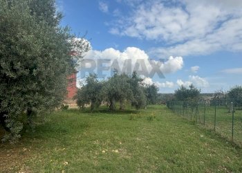 Giardino - Agricultural land VIA BELFRONTE, Floridia - photo 6