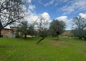 Giardino - Agricultural land VIA BELFRONTE, Floridia - photo 9