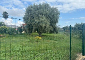 Giardino - Agricultural land VIA BELFRONTE, Floridia - photo 10