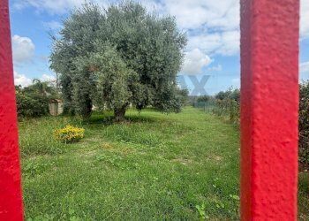 Giardino - Agricultural land VIA BELFRONTE, Floridia - photo 12