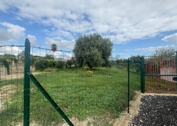 Giardino - Agricultural land VIA BELFRONTE, Floridia - photo 13