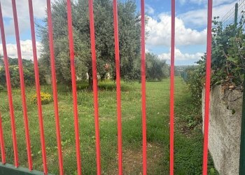 Non correlato - Agricultural land VIA BELFRONTE, Floridia - photo 14