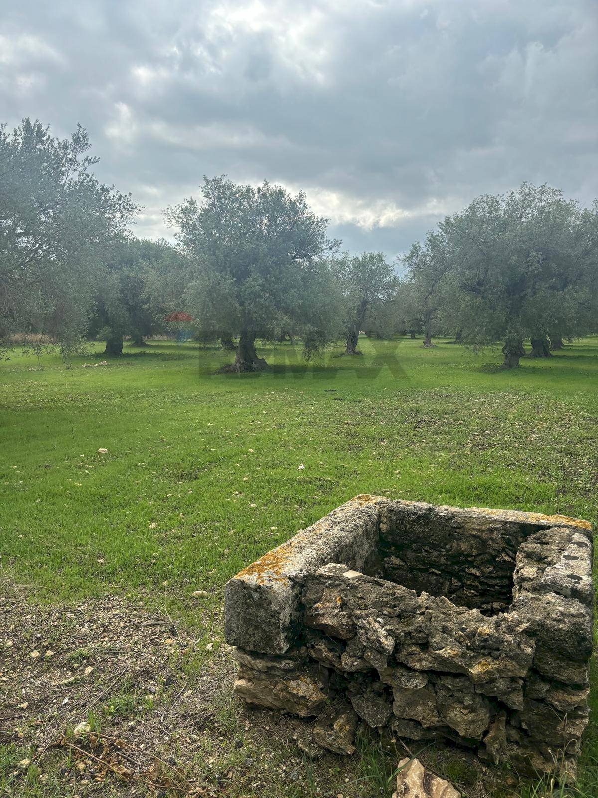 Giardino - Agricultural land VIA  BELFRONTE
 
4, Floridia - photo 2