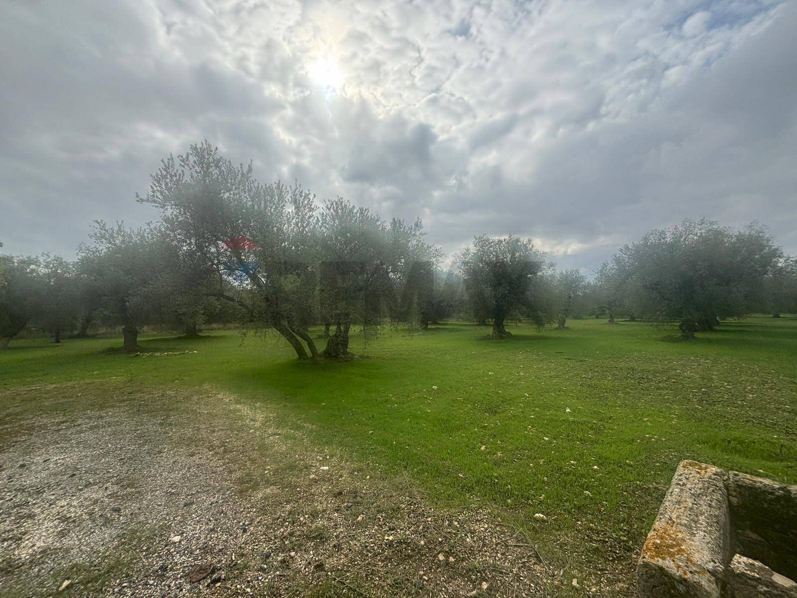 Giardino - Agricultural land VIA  BELFRONTE
 
4, Floridia - photo 3