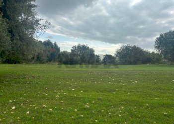 Giardino - Agricultural land VIA  BELFRONTE
 
4, Floridia - photo 1