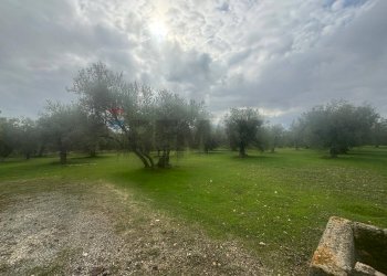 Giardino - Agricultural land VIA  BELFRONTE
 
4, Floridia - photo 3